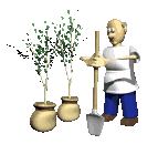 garden6