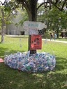 botellas plasticas halladas fuera del reciclaje
